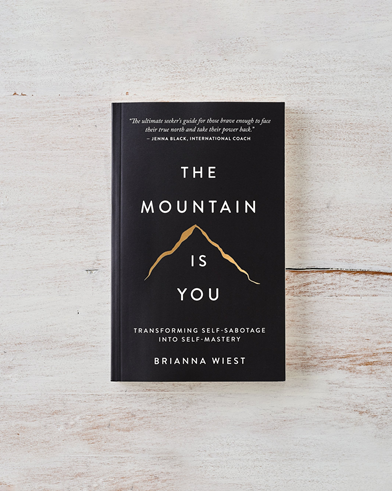 The Mountain Is You by Brianna Wiest