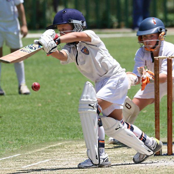 cricket kit for juniors